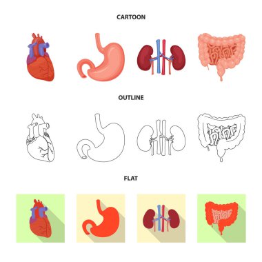 Vücut ve insan simge vektör çizimi. Vücut ve tıbbi hisse senedi vektör çizim koleksiyonu.