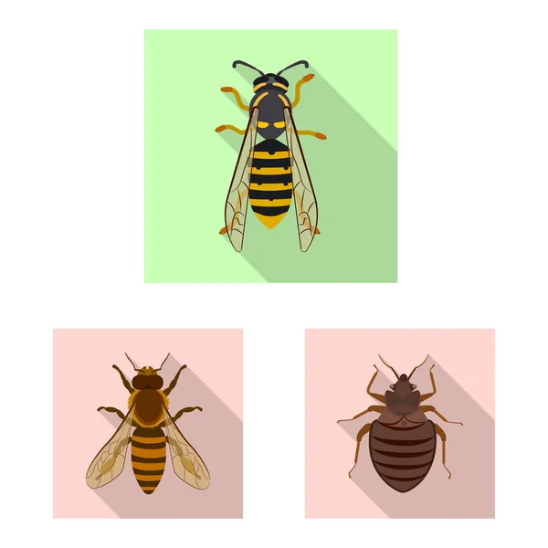 Projeto vetorial do ícone do inseto e da mosca. Coleção de ilustração vetorial de estoque de insetos e elementos . — Vetor de Stock