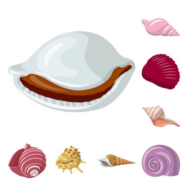 Deniz kabuğu ve yumuşakça logosu vektör tasarımı. Deniz kabuğu ve deniz ürünleri stok vektör illüstrasyon koleksiyonu.