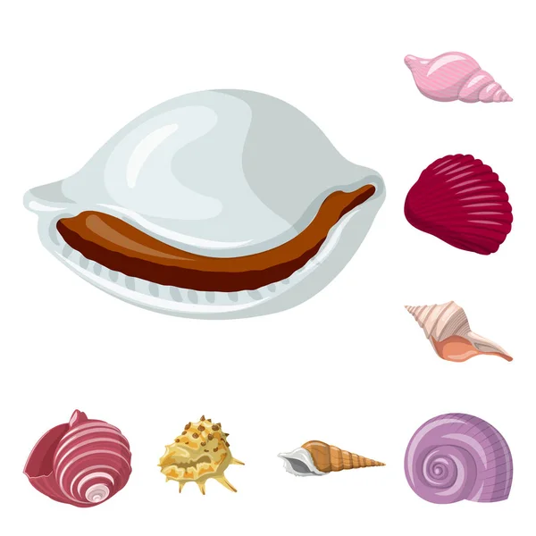 Conception vectorielle du logo coquillage et mollusque. Collection d'illustration vectorielle des stocks de coquillages et fruits de mer . — Image vectorielle