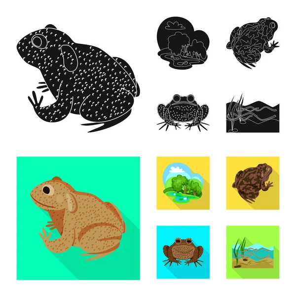 Vektor illustration av djur-och bog-logotypen. Uppsättning av vilda djur och reptiler Stock Vector illustration. — Stock vektor