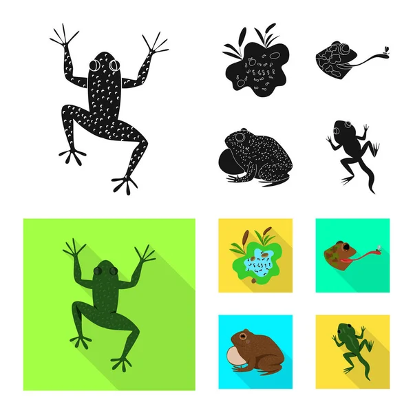 वन्यजीव और बोग प्रतीक के वेक्टर डिजाइन। वेब के लिए वन्यजीव और सरीसृप स्टॉक प्रतीक का संग्रह . — स्टॉक वेक्टर