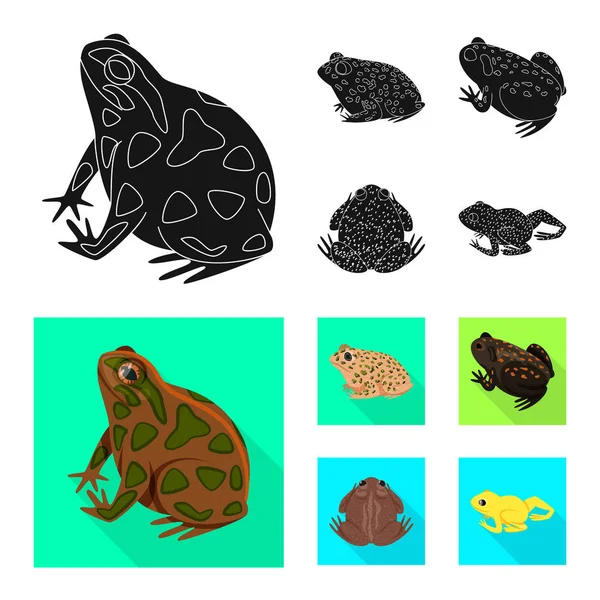 野生动物和沼泽标志的矢量设计。野生动物和爬行动物种群的汇集向量例证. — 图库矢量图片