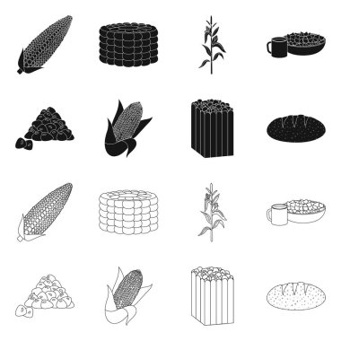 Mısır tarlası ve sebze logosu yalıtılmış nesne. Mısır tarlası ve vejetaryen hisse senedi simgesi için web topluluğu.