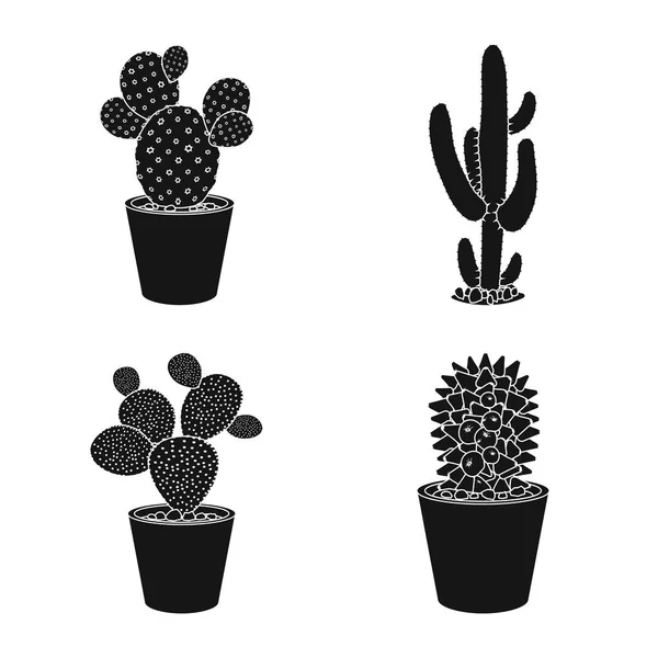 Векторный дизайн кактуса и символа горшка. Набор кактусов и кактусов символа запаса для паутины . — стоковый вектор
