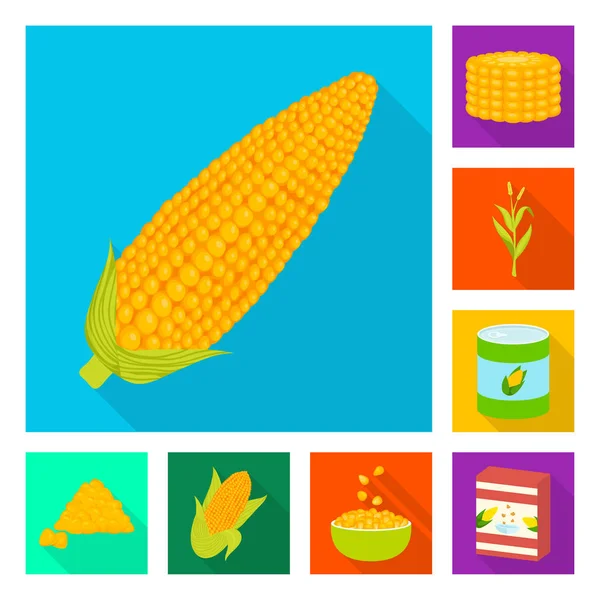 Illustrazione vettoriale di campo di grano e logo vegetale. Set di campo di grano e stock simbolo vegetariano per il web . — Vettoriale Stock