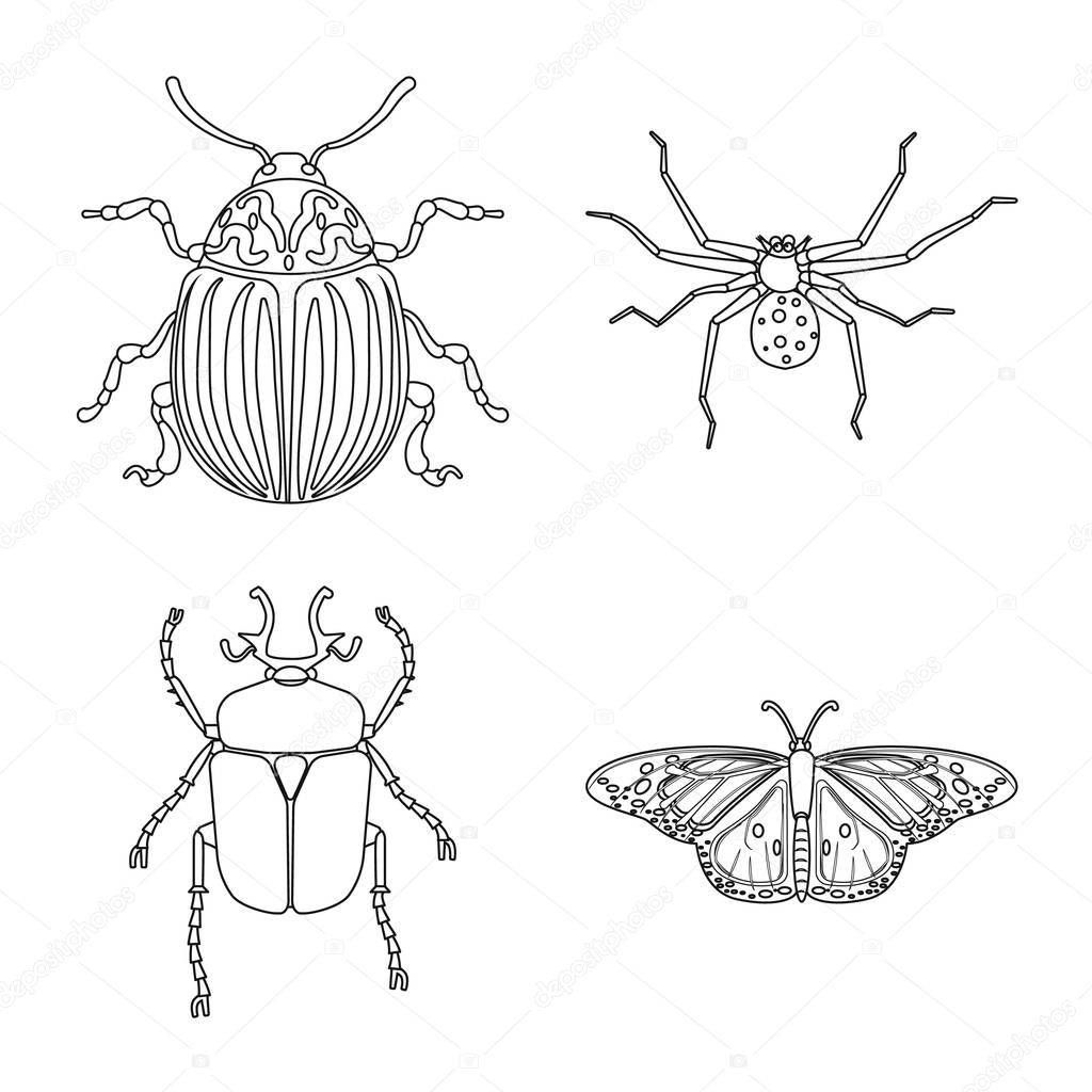 Vector design of insect and fly symbol. Set of insect and element stock symbol for web.