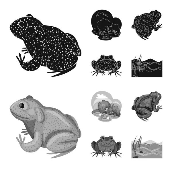 Vektor design av vilda djur och mosse tecken. Insamling av vilda djur och reptil aktie symbol för webben. — Stock vektor