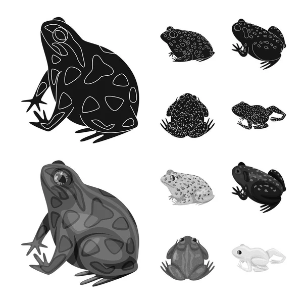 Ilustración vectorial de vida silvestre y símbolo de pantano. Colección de animales silvestres y reptiles símbolo de reserva para la web . — Archivo Imágenes Vectoriales