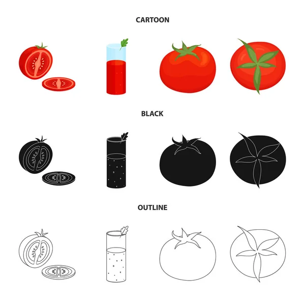 Design de vetor de vegetal e logotipo delicioso. Coleção de ícone vetorial vegetal e natural para estoque. —  Vetores de Stock