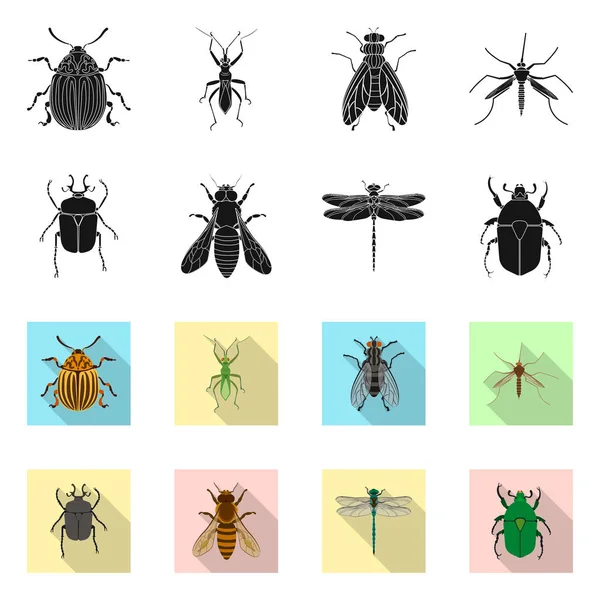 Böcek ve sinek işareti vektör tasarımı. Böcek ve öğe hisse senedi vektör çizim seti.