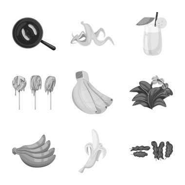 Taze ve diyet simgesi vektör tasarımı. Taze ve vejetaryen stok vektör illüstrasyon koleksiyonu.