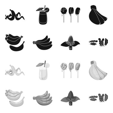 Vektör çizim doğal ve vejetaryen sembolü. Hisse senedi için doğal ve yeme vektör simge topluluğu.