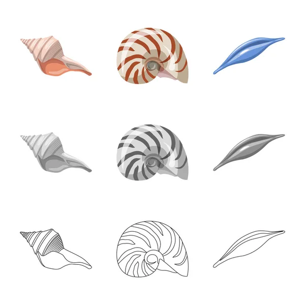 Vector ontwerp van dier en decoratie teken. Collectie van dier en Oceaan aandelensymbool voor web. — Stockvector