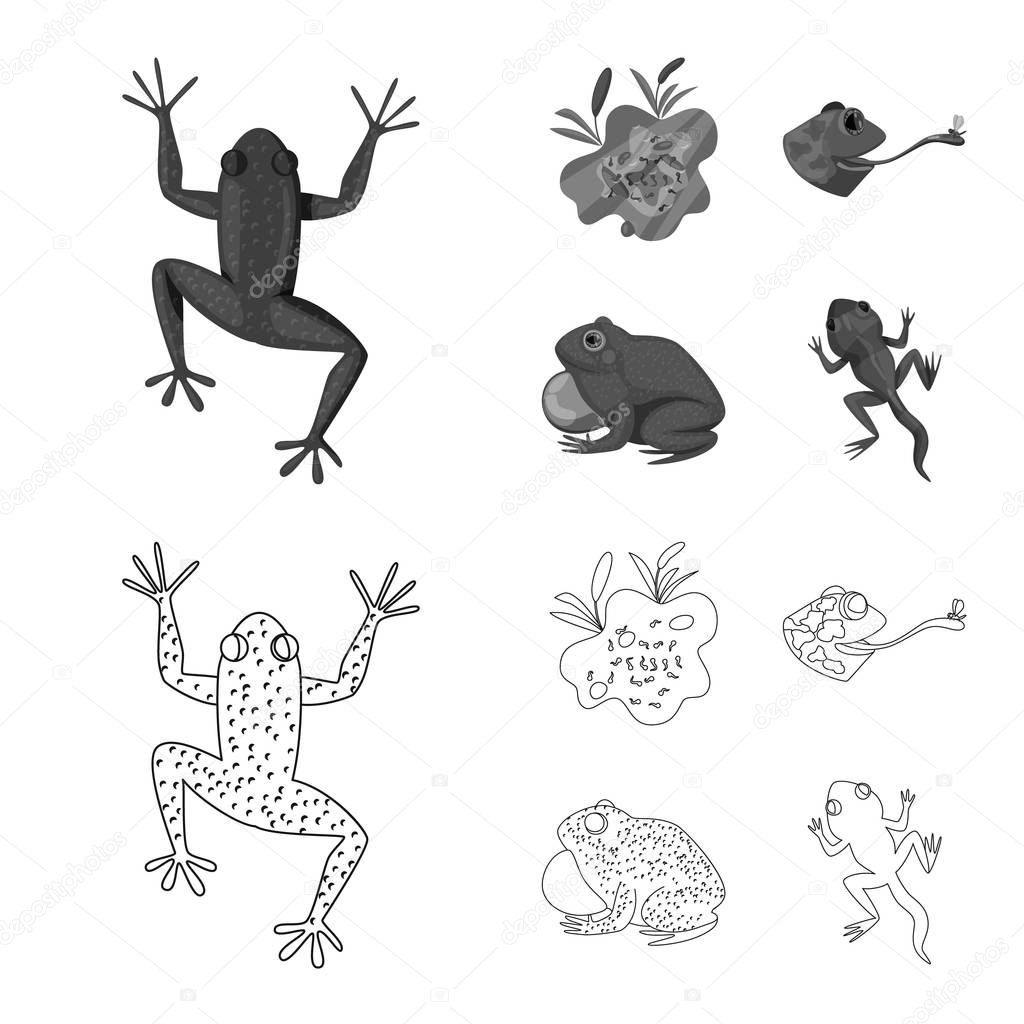 Isolated object of wildlife and bog icon. Collection of wildlife and reptile vector icon for stock.