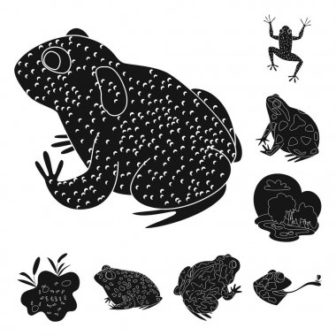 Fauna ve sürüngen işareti izole nesne. Web için fauna ve anuran stok sembolü seti.