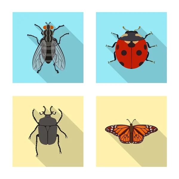 Objeto aislado de insecto e ícono de mosca. Colección de insectos y elemento vector icono para stock . — Archivo Imágenes Vectoriales
