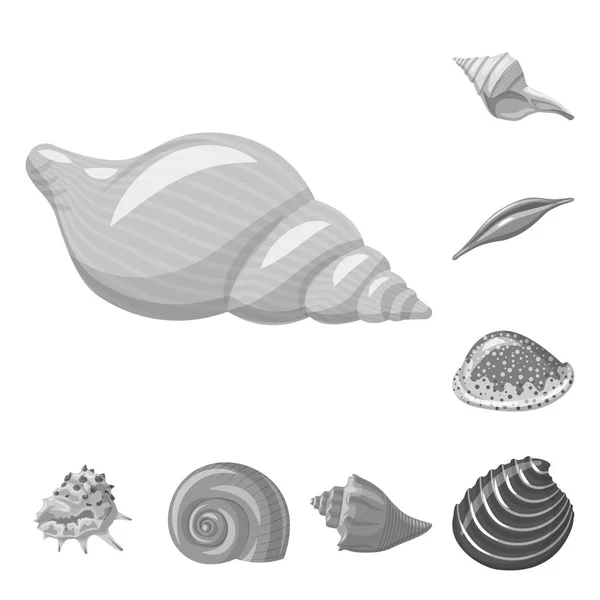Vektordesign des Aquariums und aquatischen Symbols. Sammlung von Aquarien und Dekorationsartikeln für das Netz. — Stockvektor