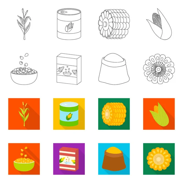 Illustrazione vettoriale di campo di grano e logo vegetale. Raccolta di icone vettoriali di mais e vegetariani per magazzino . — Vettoriale Stock