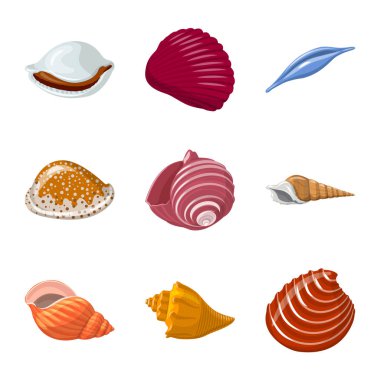 Deniz kabuğu ve yumuşakça sembolüizole nesne. Web için deniz kabuğu ve deniz ürünleri stok sembolü Koleksiyonu.