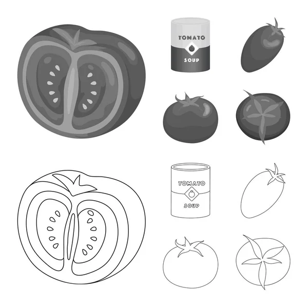 Illustration vectorielle de légumes et logo délicieux. Collection d'icônes vectorielles végétales et naturelles pour stock . — Image vectorielle