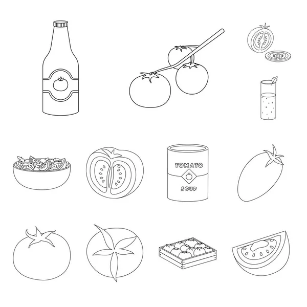 TOMAT ve diyet logosu vektör tasarımı. TOMAT ve tarım vektör simgesi seti stok. — Stok Vektör