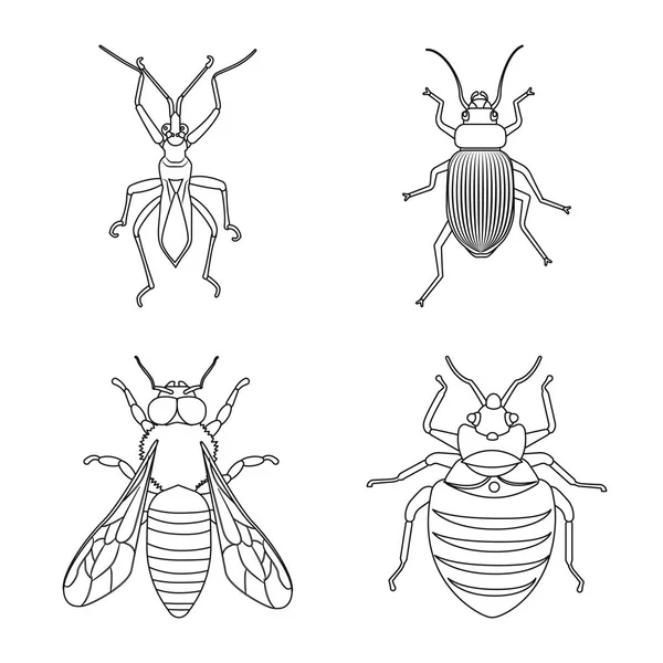 Böcek ve sinek logo vektör Illustration. Böcek ve öğe hisse senedi simgesi için web topluluğu.