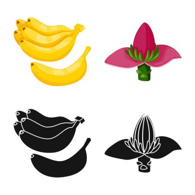 Doğal ve vejetaryen işareti vektör tasarımı. Web için doğal ve yeme hisse senedi simgesi kümesi.