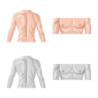 İnsan ve yarım logo vektör Illustration. İnsan ve kadın hisse senedi simgesi için web topluluğu.