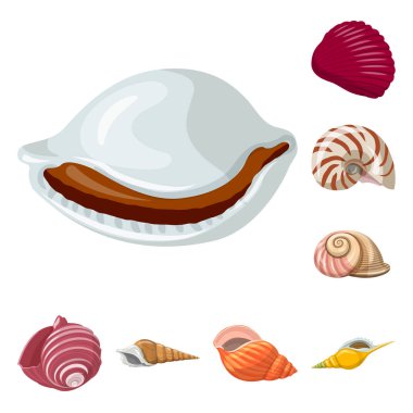 Deniz kabuğu ve yumuşakça işareti vektör illüstrasyon. Deniz kabuğu ve deniz ürünleri stok vektör illüstrasyon seti.