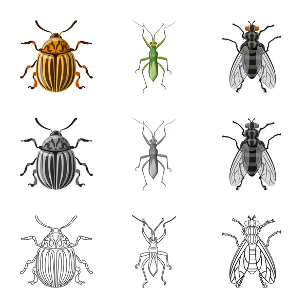Vector ontwerp van insecten en vliegen logo. Set insect en element voorraad vectorillustratie. — Stockvector