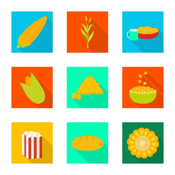 Ilustración vectorial de maizal y signo vegetal. Colección de ilustración vectorial de maizales y ganado vegetariano . — Vector de stock