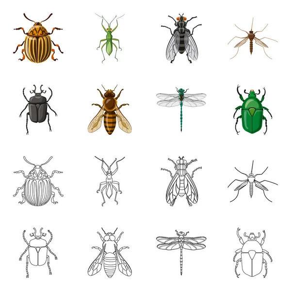Ilustración vectorial del logotipo de insectos y moscas. Conjunto de icono de vector de insectos y elementos para stock . — Archivo Imágenes Vectoriales