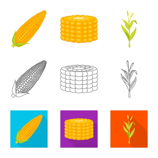 Vektordesign von Maisfeldern und Gemüsezeichen. Set aus Maisfeld und Vegetarier-Vektor-Symbol für Aktien. — Stockvektor