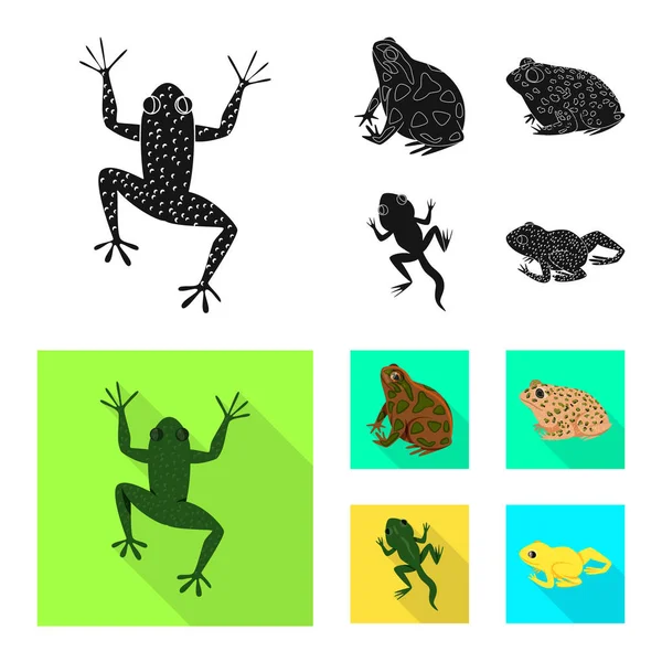 野生動物と沼のロゴのベクトルイラスト。ウェブ用野生動物と爬虫類ストックシンボルのセット. — ストックベクタ