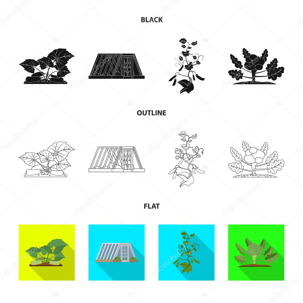 Vector illustration of greenhouse and plant icon. Set of greenhouse and garden stock symbol for web.