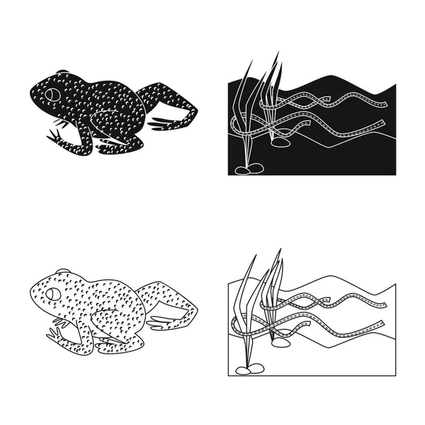Yaban hayatı ve bataklık işareti vektör tasarımı. Yaban hayatı ve sürüngen stok vektör illüstrasyon seti.
