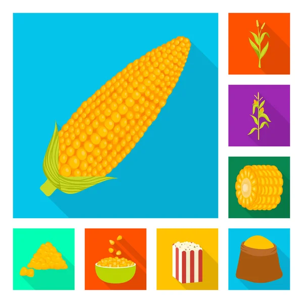 Ilustración vectorial del campo de maíz y el icono vegetal. Colección de maizal y símbolo de stock vegetariano para web . — Vector de stock