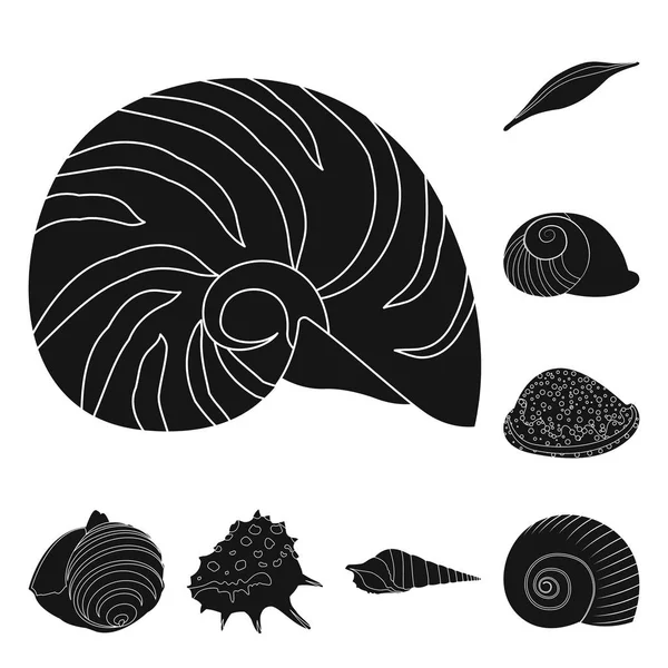 Geïsoleerd object van de natuur en Oceaan symbool. Set van natuur en slakken voorraad symbool voor web. — Stockvector