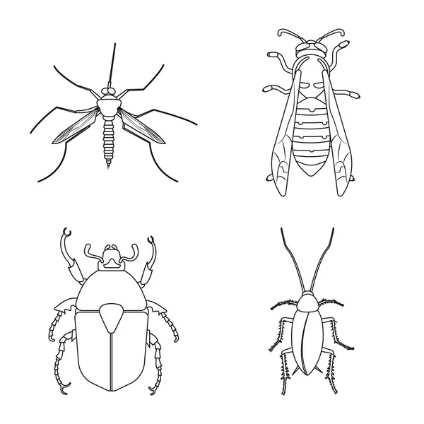 Böcek ve sinek logosu yalıtılmış nesne. Web için böcek ve öğe hisse senedi simgesi kümesi. — Stok Vektör
