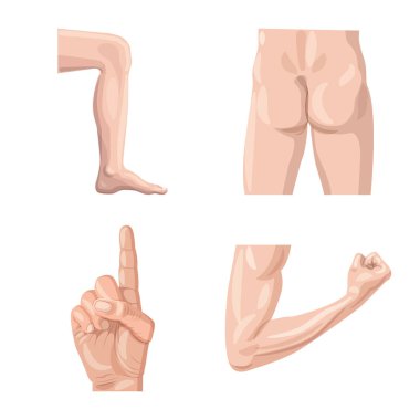 İnsan ve yarım simge vektör Illustration. İnsan ve kadın hisse senedi simgesi için web topluluğu.