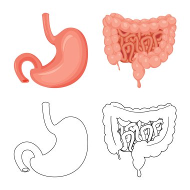 Vücut ve insan logo vektör çizimi. Vücut ve hisse senedi için tıbbi vektör simge kümesi.
