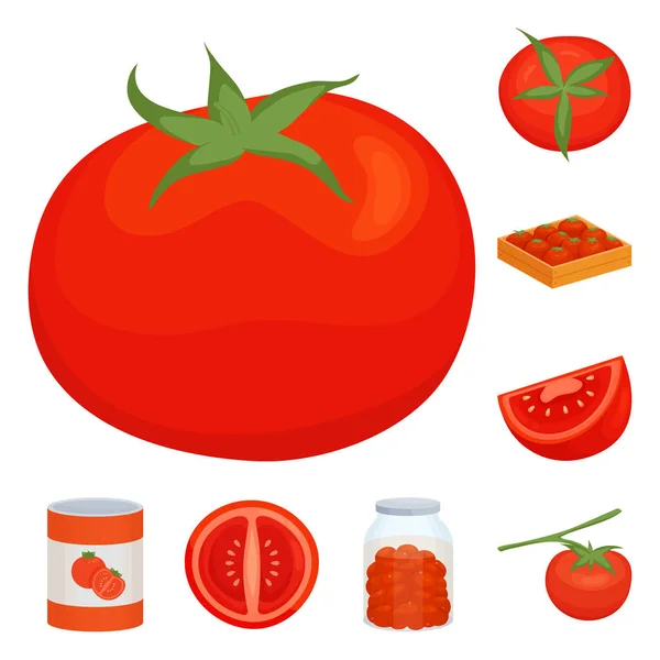 Diseño vectorial del logotipo orgánico y alimentario. Colección de símbolo de stock orgánico y dietético para la web . — Archivo Imágenes Vectoriales