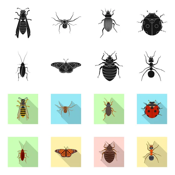 Vektordesign von Insekten- und Fliegensymbol. Sammlung von Insekten- und Elementlagersymbolen für das Netz. — Stockvektor