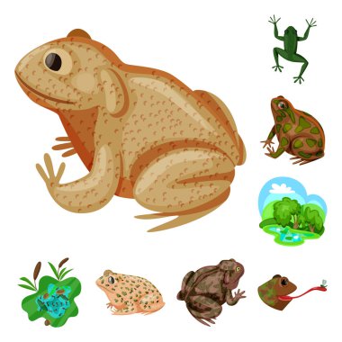 Kurbağa ve anuran simgesivektör tasarımı. Web için kurbağa ve hayvan stok sembolü koleksiyonu.