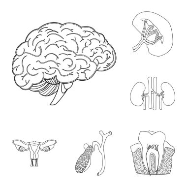 Vücut ve insan logo vektör çizimi. Vücut ve hisse senedi için tıbbi vektör simge kümesi.