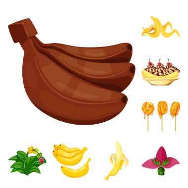 Tropikal ve olgun sembolün izole nesnesi. Stok için tropikal ve potasyum vektör simgesinin toplanması.