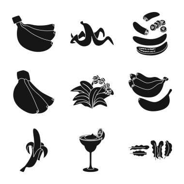 Vitamin ve yeme işareti Vektör illüstrasyon. Vitamin ve olgun stok vektör illüstrasyon seti.