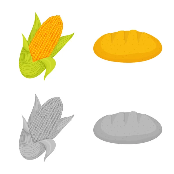 Desenho vetorial do campo de milho e símbolo vegetal. Coleção de campo de milho e ícone vetorial vegetariano para estoque . —  Vetores de Stock