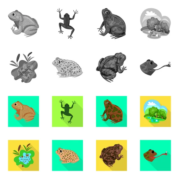 Vektor design av vilda djur och mossen tecken. Uppsättning av vilda djur och reptil stock symbol för webben. — Stock vektor